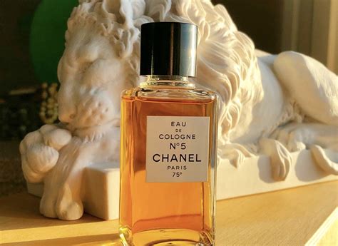 9 Best Chanel Colognes for Men 2024 .